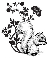 Flora e fauna
