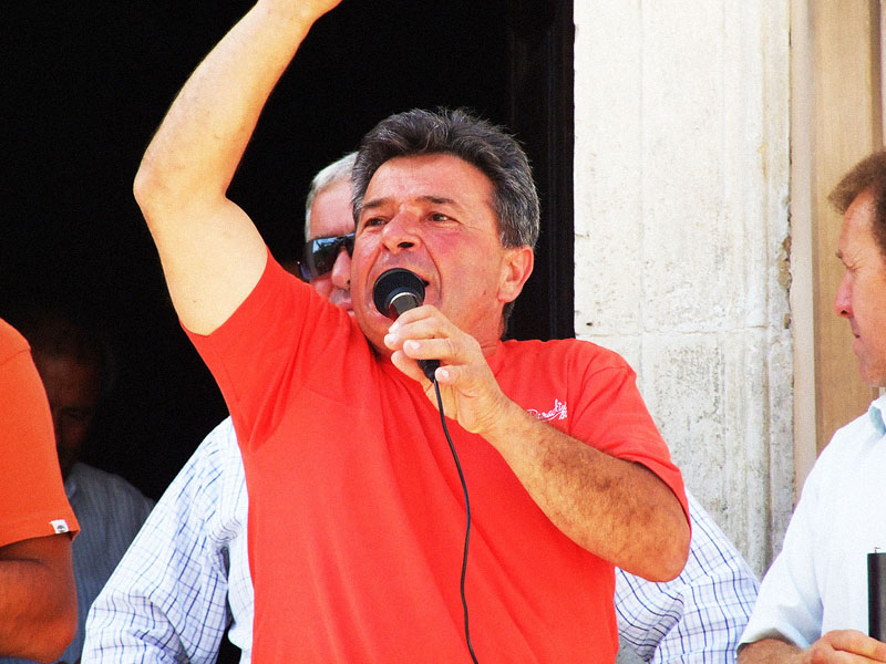 Gallo oggi